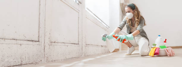 Best Asbestos and Lead Testing During Mold Inspection  in Blakely, GA